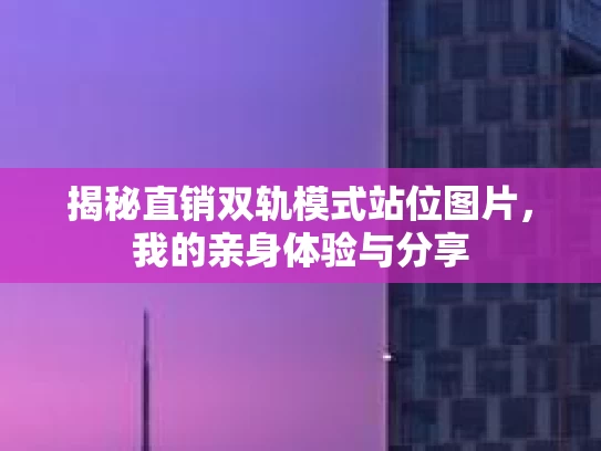 揭秘直销双轨模式站位图片，我的亲身体验与分享