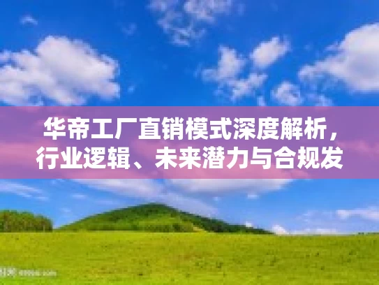 华帝工厂直销模式深度解析，行业逻辑、未来潜力与合规发展路径