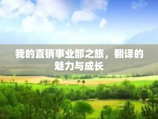 我的直销事业部之旅，翻译的魅力与成长
