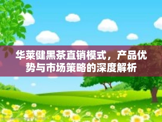华莱健黑茶直销模式，产品优势与市场策略的深度解析