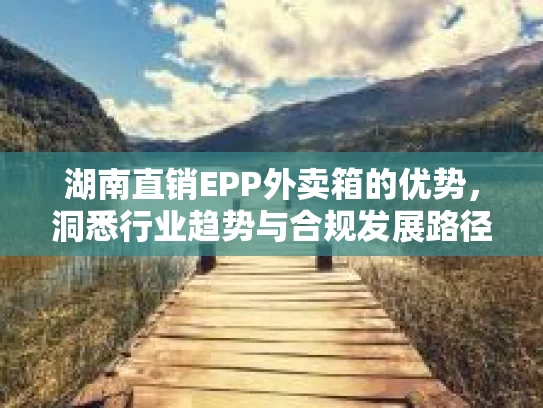 湖南直销EPP外卖箱的优势,洞悉行业趋势与合规发展路径 湖南直销EPP外卖箱的优势,洞悉行业趋势与合规发展路径