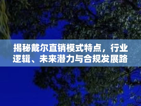 揭秘戴尔直销模式特点，行业逻辑、未来潜力与合规发展路径