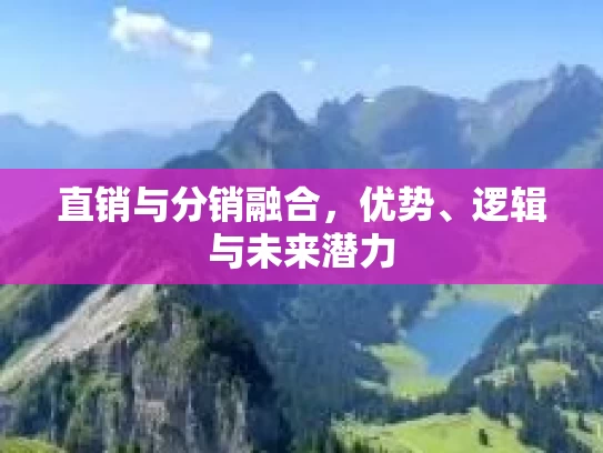 直销与分销融合，优势、逻辑与未来潜力