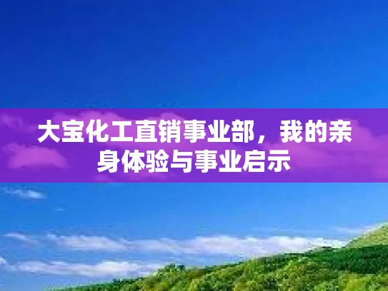 大宝化工直销事业部,我的亲身体验与事业启示
