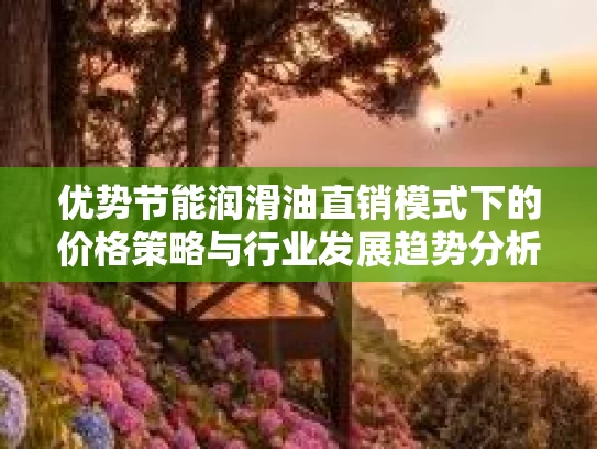 优势节能润滑油直销模式下的价格策略与行业发展趋势分析
