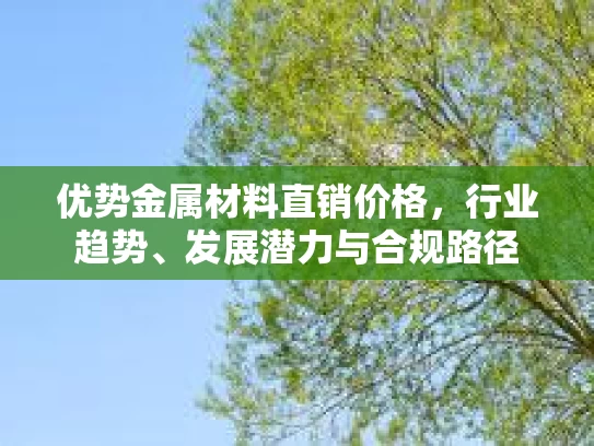 优势金属材料直销价格，行业趋势、发展潜力与合规路径