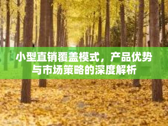 小型直销覆盖模式，产品优势与市场策略的深度解析