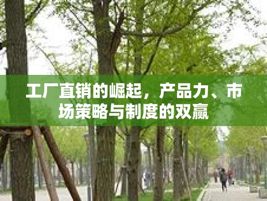 工厂直销的崛起，产品力、市场策略与制度的双赢