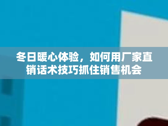 冬日暖心体验，如何用厂家直销话术技巧抓住销售机会