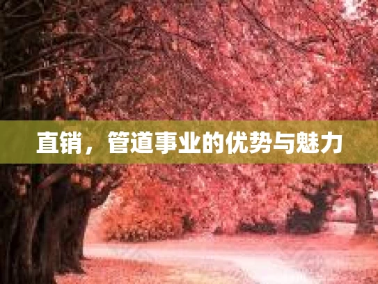 直销，管道事业的优势与魅力