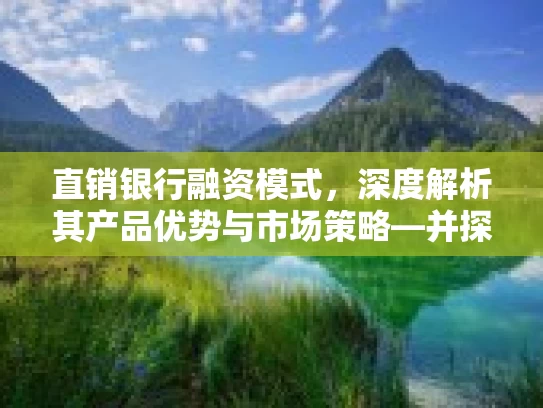 直销银行融资模式，深度解析其产品优势与市场策略—并探讨其融资模式的潜在弊端