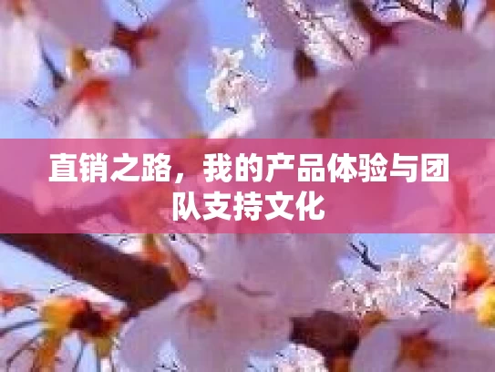直销之路，我的产品体验与团队支持文化