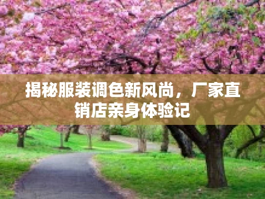 揭秘服装调色新风尚，厂家直销店亲身体验记