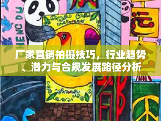 厂家直销拍摄技巧，行业趋势、潜力与合规发展路径分析