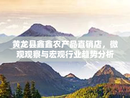 黄龙县鑫鑫农产品直销店，微观观察与宏观行业趋势分析