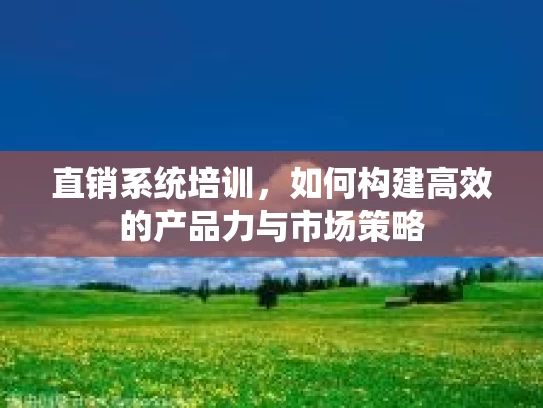 直销系统培训，如何构建高效的产品力与市场策略