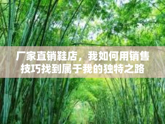 厂家直销鞋店，我如何用销售技巧找到属于我的独特之路