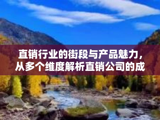 直销行业的街段与产品魅力，从多个维度解析直销公司的成功之道