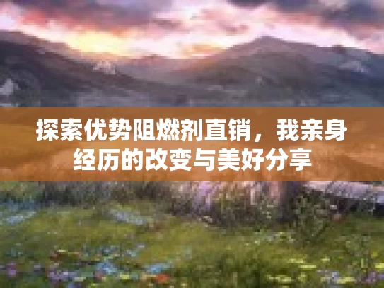 探索优势阻燃剂直销，我亲身经历的改变与美好分享