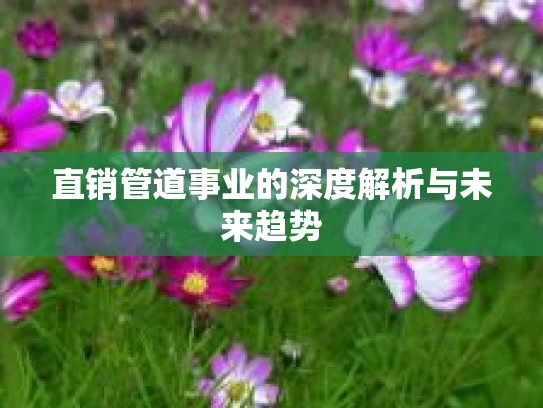 直销管道事业的深度解析与未来趋势