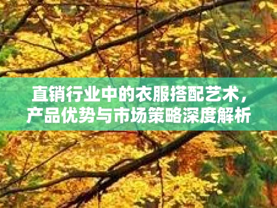直销行业中的衣服搭配艺术，产品优势与市场策略深度解析