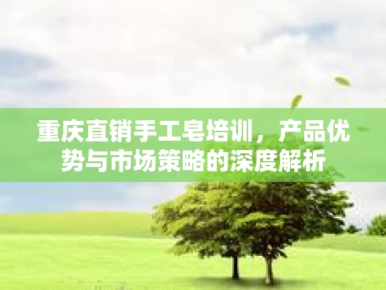 重庆直销手工皂培训，产品优势与市场策略的深度解析