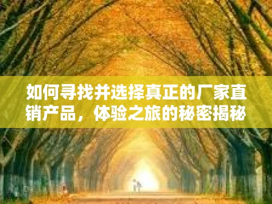如何寻找并选择真正的厂家直销产品，体验之旅的秘密揭秘