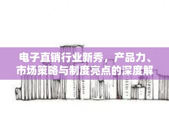 电子直销行业新秀，产品力、市场策略与制度亮点的深度解析