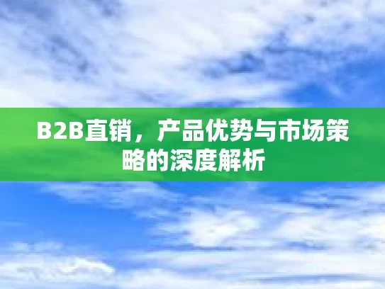 B2B直销，产品优势与市场策略的深度解析