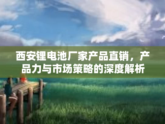 西安锂电池厂家产品直销，产品力与市场策略的深度解析