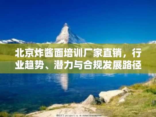 北京炸酱面培训厂家直销，行业趋势、潜力与合规发展路径分析