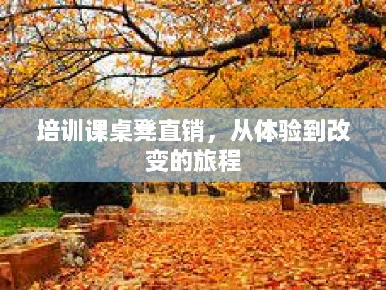 培训课桌凳直销，从体验到改变的旅程