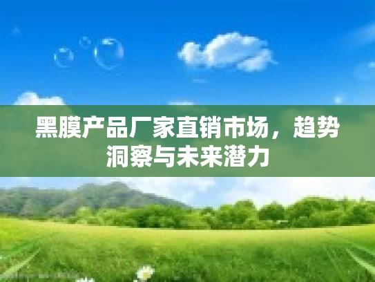 黑膜产品厂家直销市场，趋势洞察与未来潜力