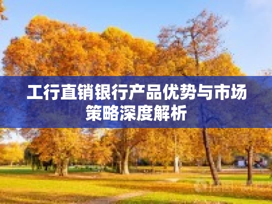工行直销银行产品优势与市场策略深度解析