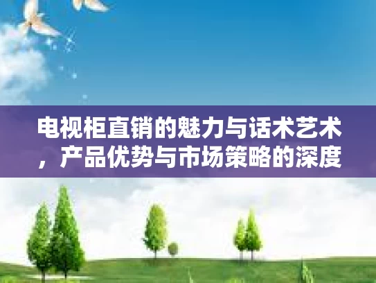 电视柜直销的魅力与话术艺术，产品优势与市场策略的深度解读