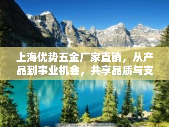 上海优势五金厂家直销，从产品到事业机会，共享品质与支持的力量