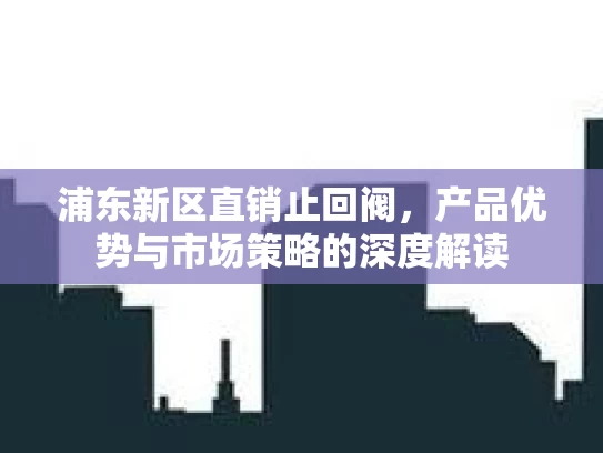 浦东新区直销止回阀，产品优势与市场策略的深度解读