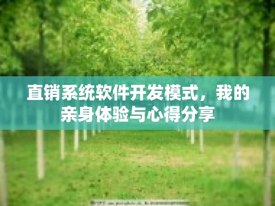 直销系统软件开发模式,我的亲身体验与心得分享