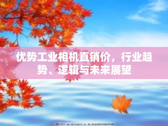 优势工业相机直销价，行业趋势、逻辑与未来展望