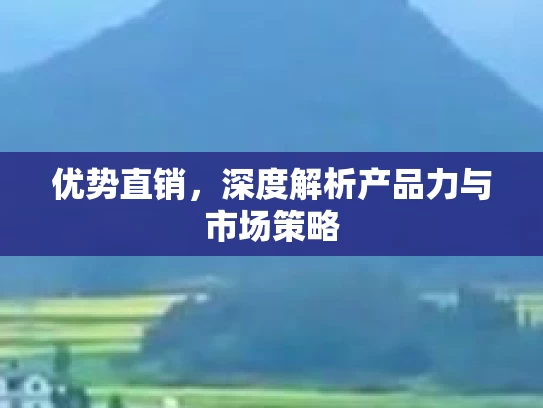 优势直销，深度解析产品力与市场策略