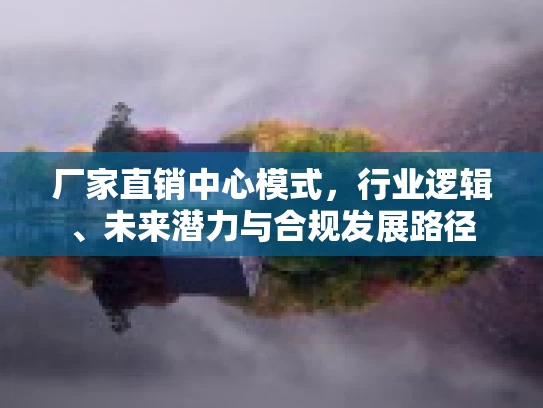 厂家直销中心模式，行业逻辑、未来潜力与合规发展路径