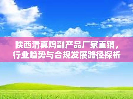 陕西清真鸡副产品厂家直销，行业趋势与合规发展路径探析