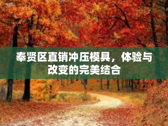 奉贤区直销冲压模具，体验与改变的完美结合