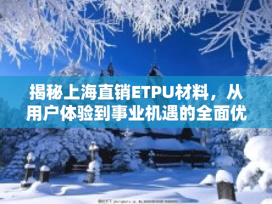 揭秘上海直销ETPU材料，从用户体验到事业机遇的全面优势