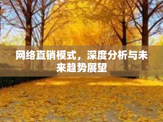网络直销模式，深度分析与未来趋势展望