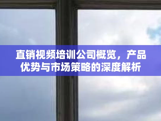直销视频培训公司概览，产品优势与市场策略的深度解析