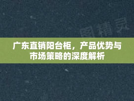 广东直销阳台柜，产品优势与市场策略的深度解析