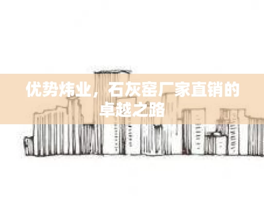 优势炜业,石灰窑厂家直销的卓越之路