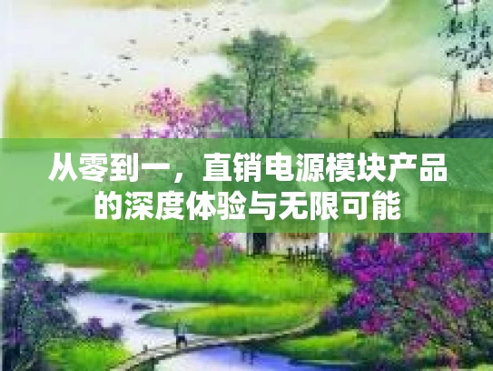 从零到一,直销电源模块产品的深度体验与无限可能