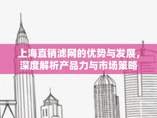上海直销滤网的优势与发展,深度解析产品力与市场策略